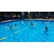 Colonia de Vacaciones - Diciembre 2014